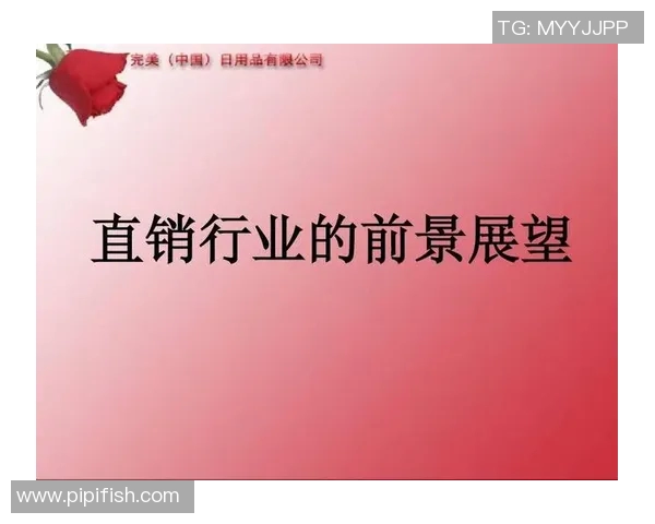 深圳排球队运营策略深度解析与发展前景展望